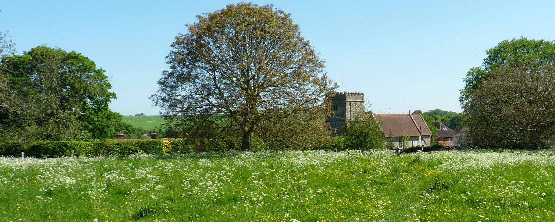 An image of St Mary's Church with a view of the meadow on a Sunny Summers Day